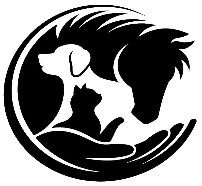 Gaia-Vis